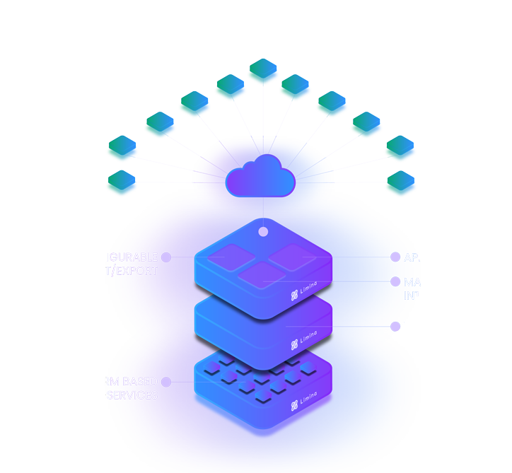 Limina platform with Configurable Data Import & Export capabilities